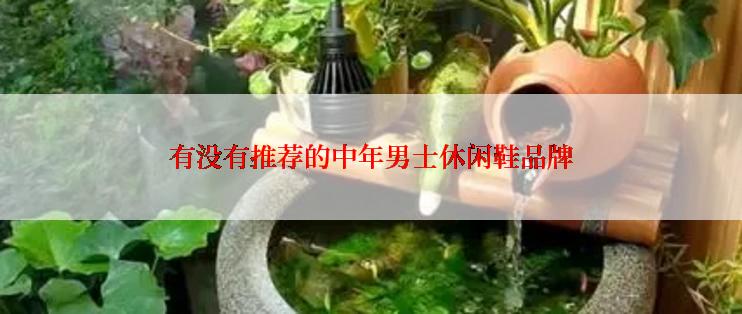 有没有推荐的中年男士休闲鞋品牌