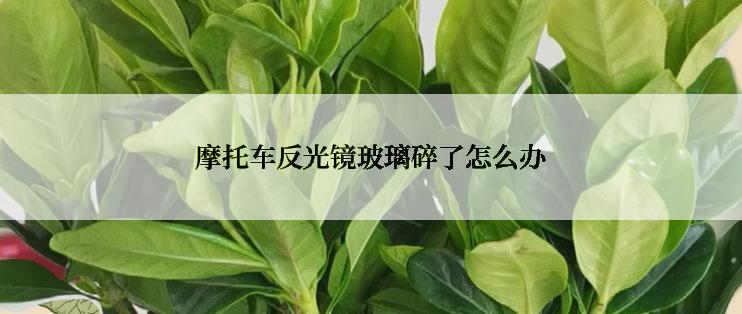 摩托车反光镜玻璃碎了怎么办