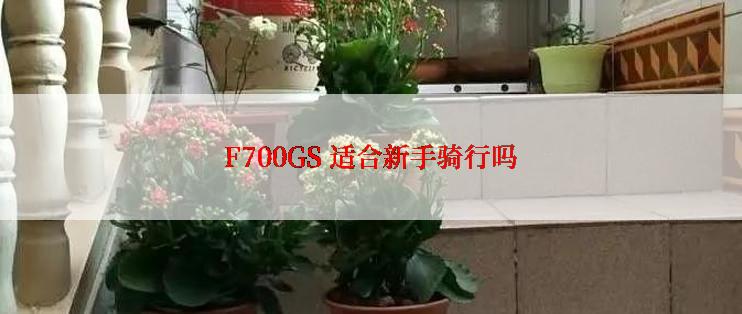 F700GS 适合新手骑行吗