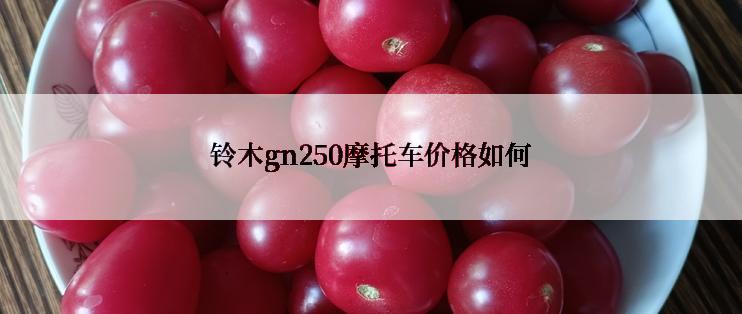 铃木gn250摩托车价格如何