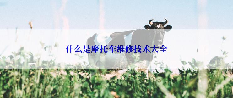 什么是摩托车维修技术大全