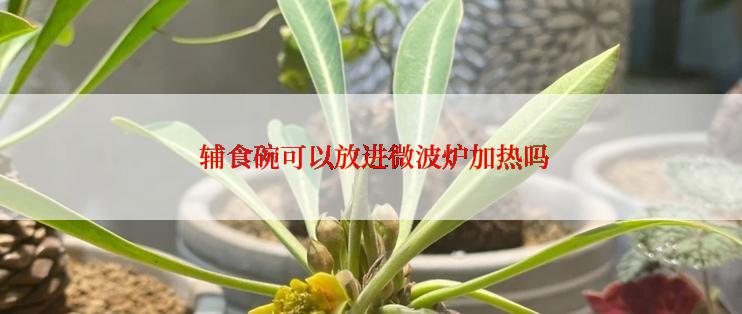  辅食碗可以放进微波炉加热吗