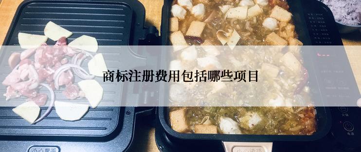 商标注册费用包括哪些项目