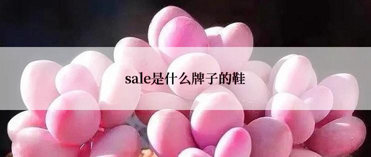 sale是什么牌子的鞋