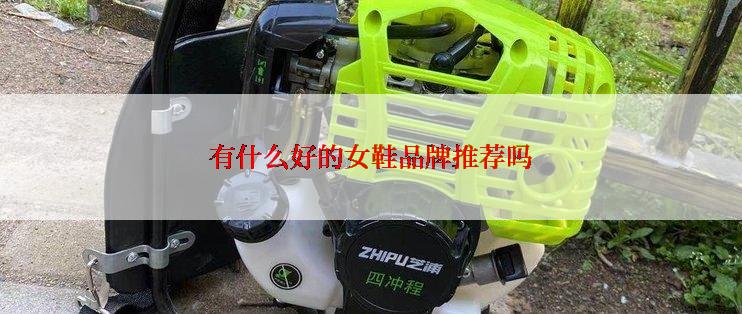 有什么好的女鞋品牌推荐吗