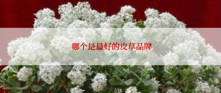  哪个是最好的皮草品牌