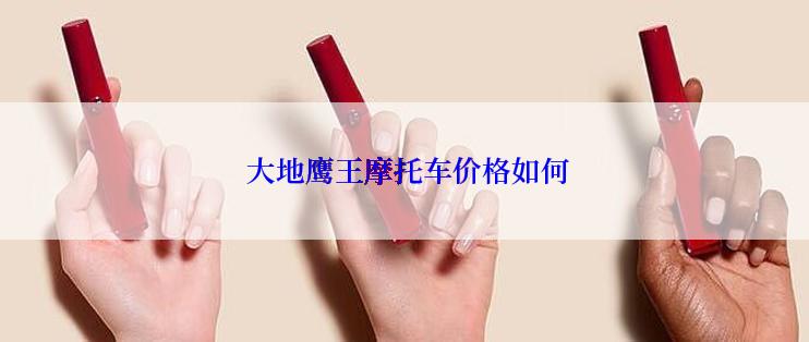  大地鹰王摩托车价格如何