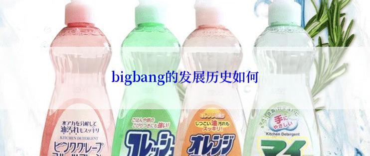 bigbang的发展历史如何