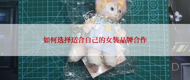 如何选择适合自己的女装品牌合作