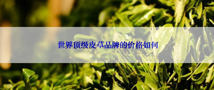  世界顶级皮草品牌的价格如何