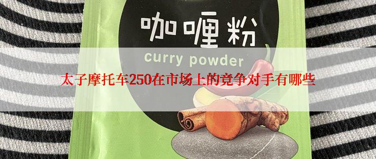 太子摩托车250在市场上的竞争对手有哪些