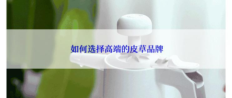  如何选择高端的皮草品牌