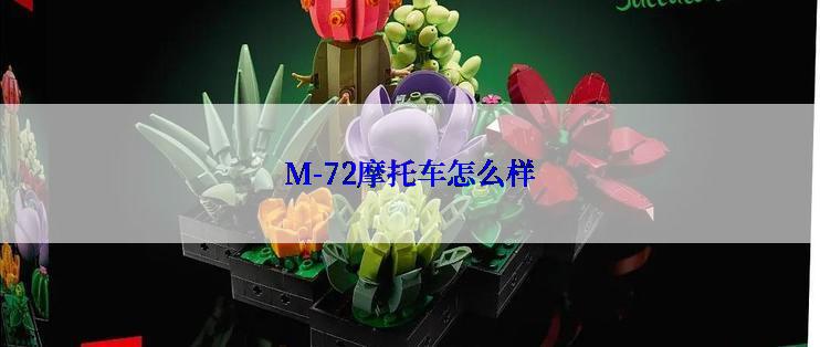 M-72摩托车怎么样