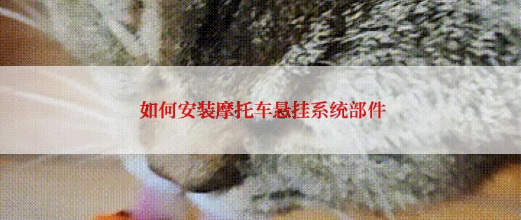  如何安装摩托车悬挂系统部件