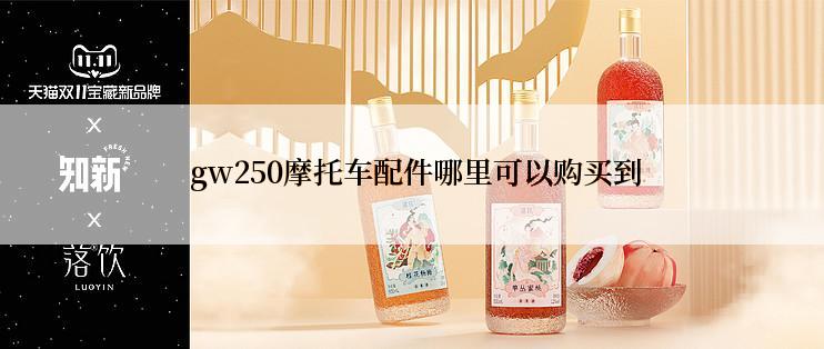  gw250摩托车配件哪里可以购买到