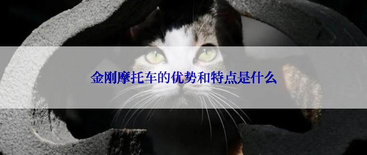 金刚摩托车的优势和特点是什么