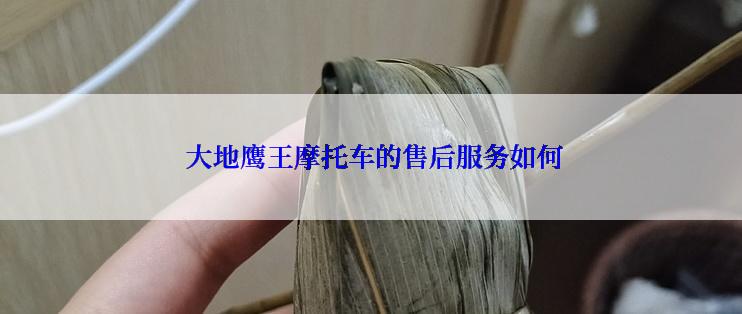  大地鹰王摩托车的售后服务如何