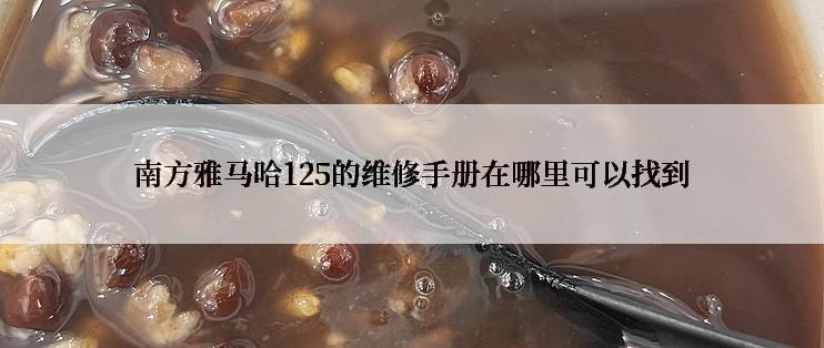 南方雅马哈125的维修手册在哪里可以找到