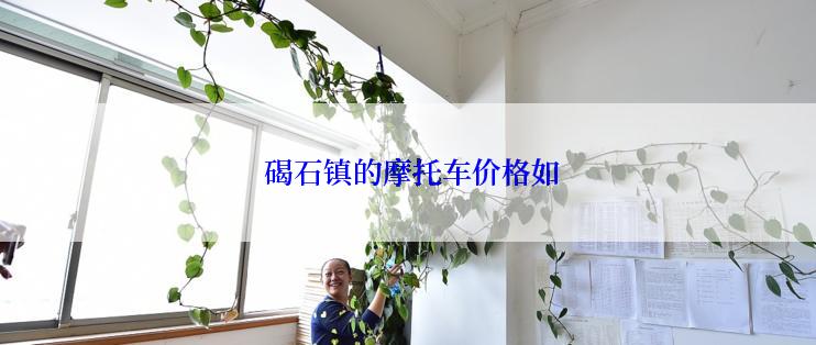  碣石镇的摩托车价格如