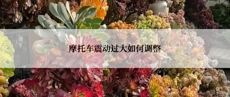 摩托车震动过大如何调整