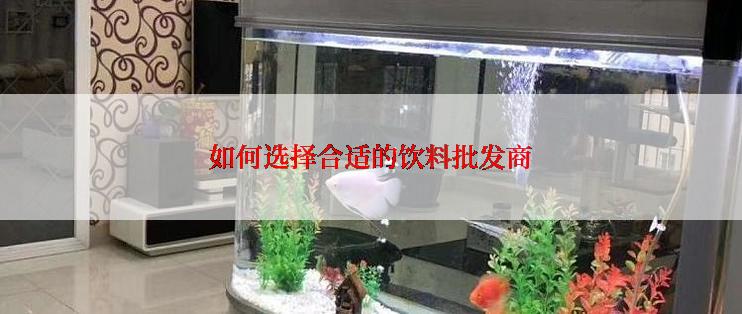 如何选择合适的饮料批发商