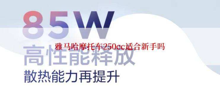 雅马哈摩托车250cc适合新手吗