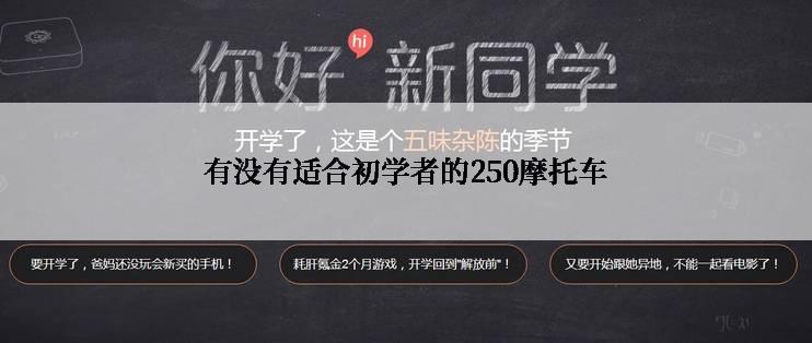 有没有适合初学者的250摩托车