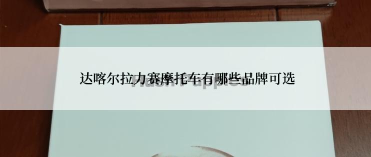  达喀尔拉力赛摩托车有哪些品牌可选