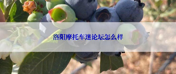 洛阳摩托车迷论坛怎么样