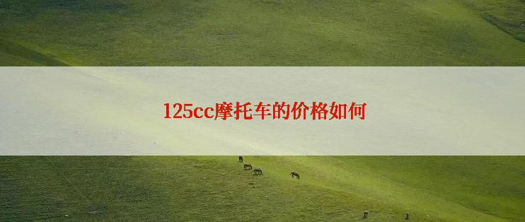  125cc摩托车的价格如何