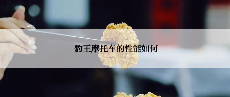  豹王摩托车的性能如何