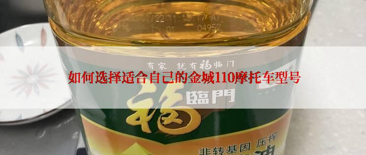  如何选择适合自己的金城110摩托车型号