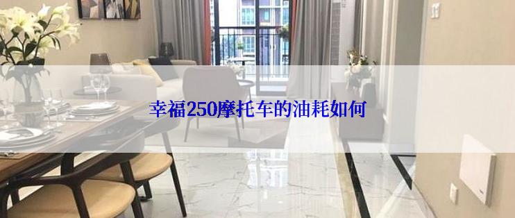 幸福250摩托车的油耗如何