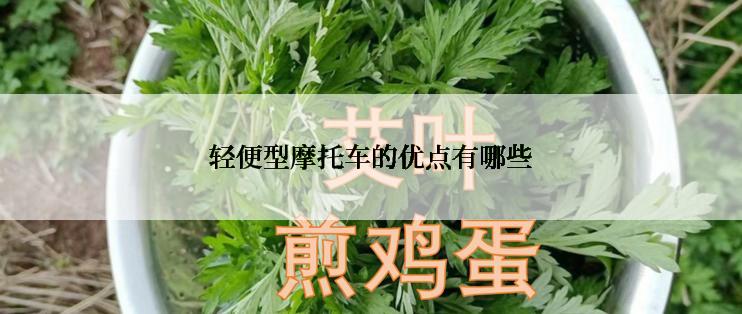 轻便型摩托车的优点有哪些