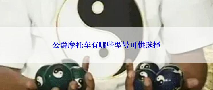 公爵摩托车有哪些型号可供选择