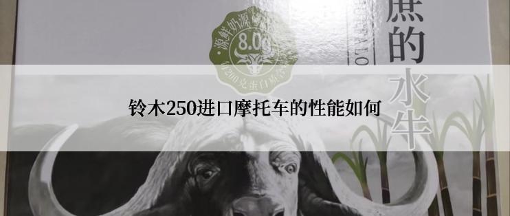 铃木250进口摩托车的性能如何