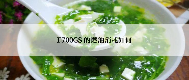 F700GS 的燃油消耗如何