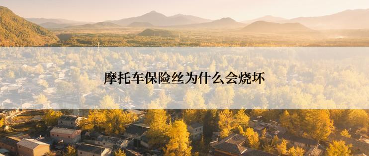 摩托车保险丝为什么会烧坏