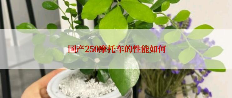  国产250摩托车的性能如何