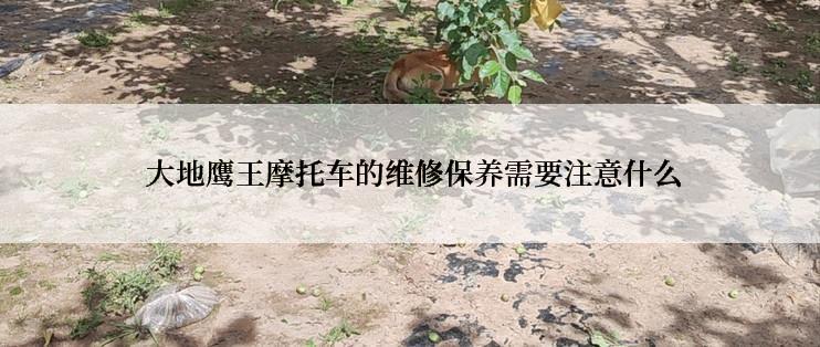  大地鹰王摩托车的维修保养需要注意什么