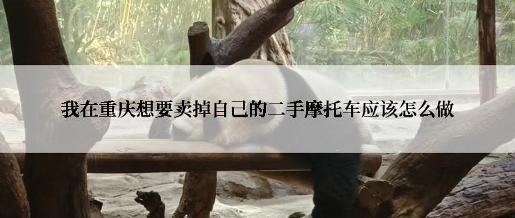 我在重庆想要卖掉自己的二手摩托车应该怎么做