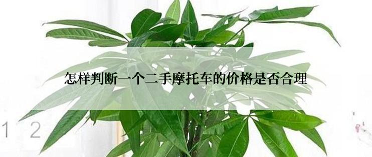 怎样判断一个二手摩托车的价格是否合理