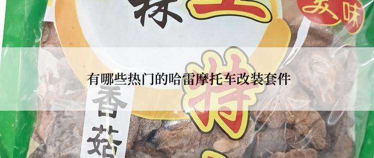  有哪些热门的哈雷摩托车改装套件