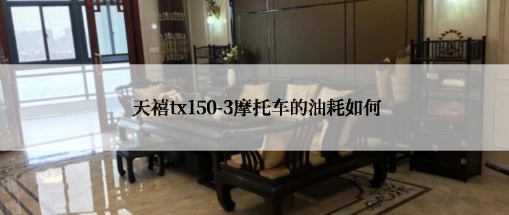  天禧tx150-3摩托车的油耗如何