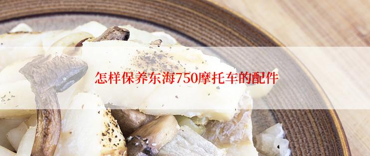  怎样保养东海750摩托车的配件