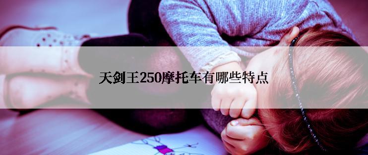 天剑王250摩托车有哪些特点