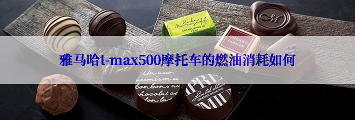 雅马哈t-max500摩托车的燃油消耗如何