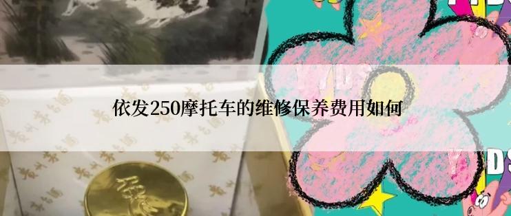  依发250摩托车的维修保养费用如何