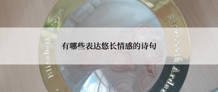 有哪些表达悠长情感的诗句