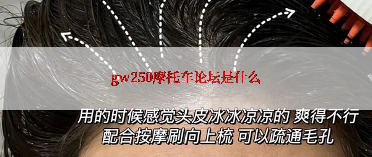 gw250摩托车论坛是什么